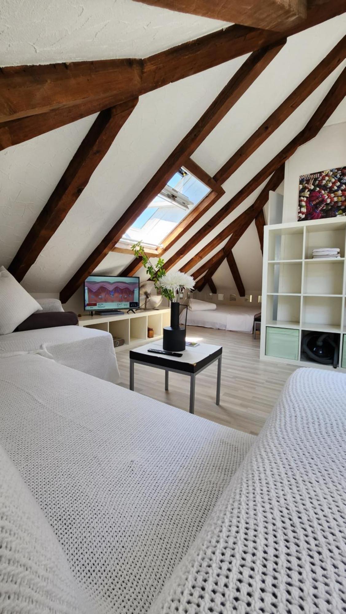 Trend Area Attic Seefeld 苏黎世 外观 照片